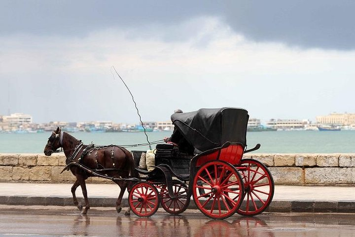 Alexandria Horse Carriage Tour  - Photo 1 of 4