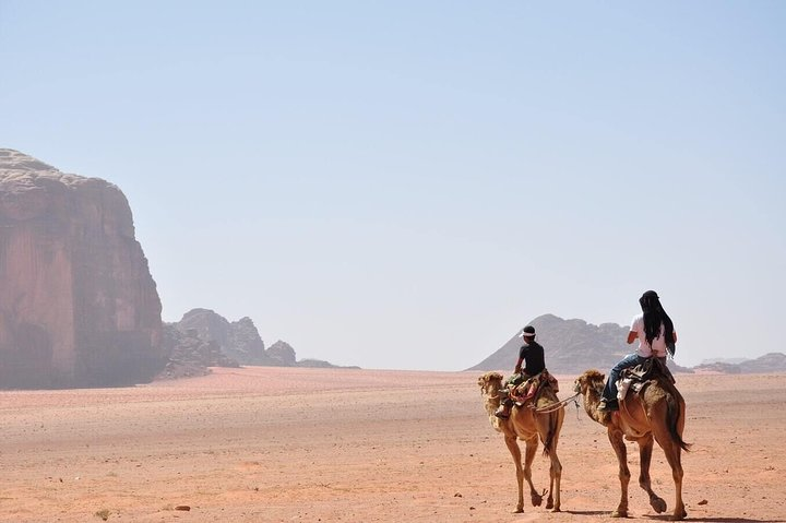 Arabian Horse/Camel Riding ;Private special guided tour - Photo 1 of 3