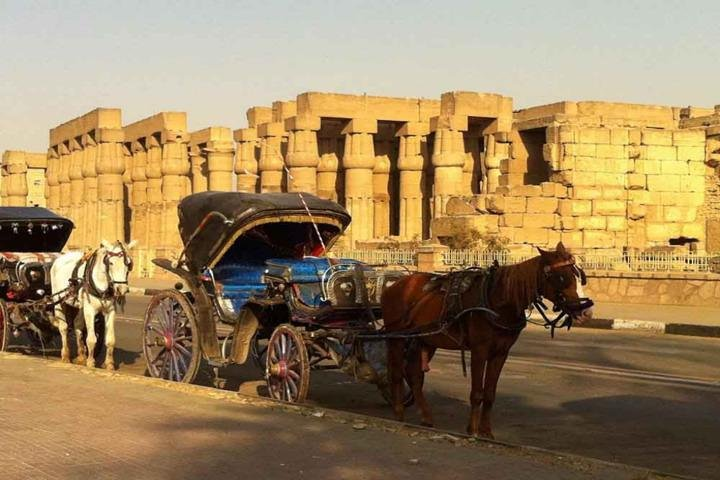 Aswan City Tour by Horse Carriage - Photo 1 of 3