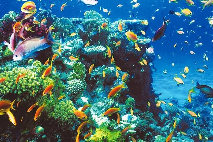 Blue Hole - Abu Galum -Blue Lagoon Snorkeling Trip From Dahab - Photo 1 of 8