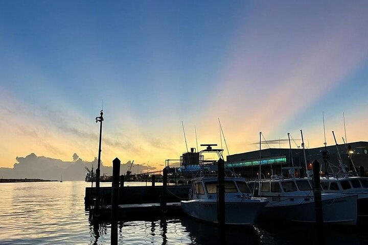 Under water Semi-Submarine Adventure – 2-Hour Tour from Hurghada - Photo 1 of 6