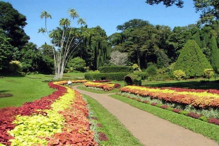  Island of the plants 