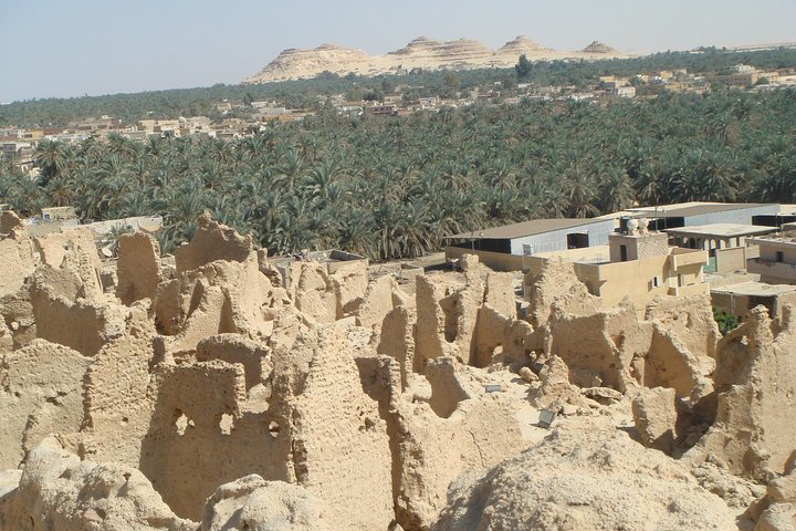 Siwa Oasis