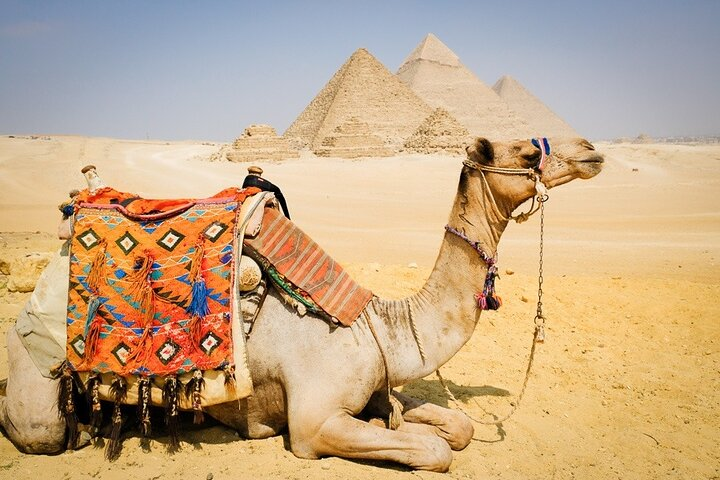 Cairo: 3 Private Full-Day Tours to Cairo Top Attractions+One Airport Transfer - Photo 1 of 11
