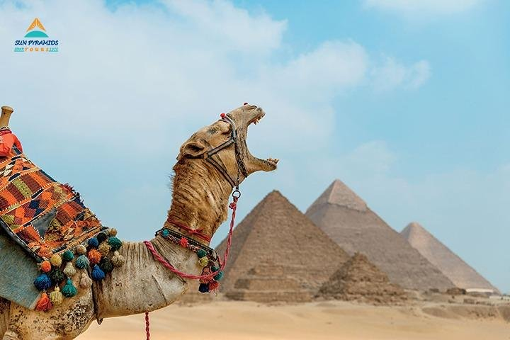 Cairo and Luxor Tours - Photo 1 of 18
