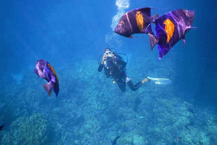 Cairo, Luxor and Hurghada Package - Photo 1 of 19