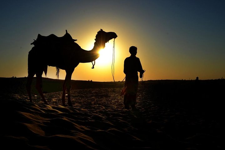 Camel Ride & Barbeque Dinner at the Pyramids - Photo 1 of 6