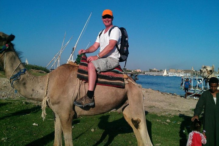 Camel Ride Tour In Luxor - Photo 1 of 7