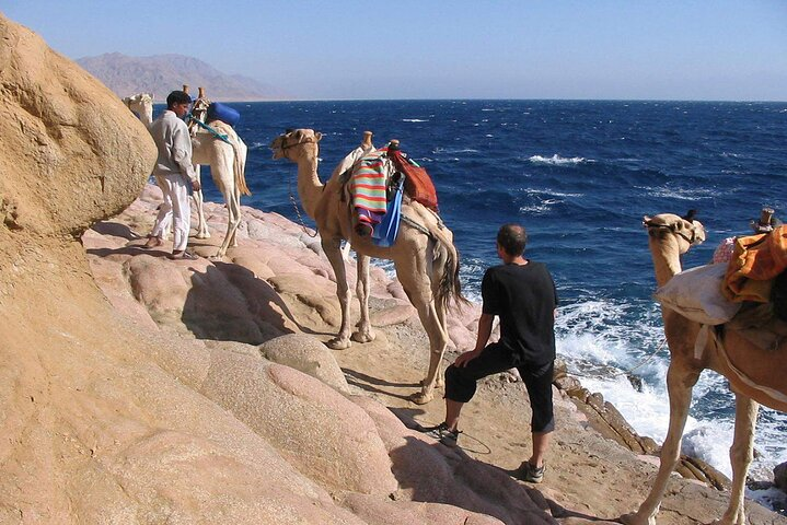  Camel Trek Desert and Beach Experience Private Tour in Dahab - Photo 1 of 4