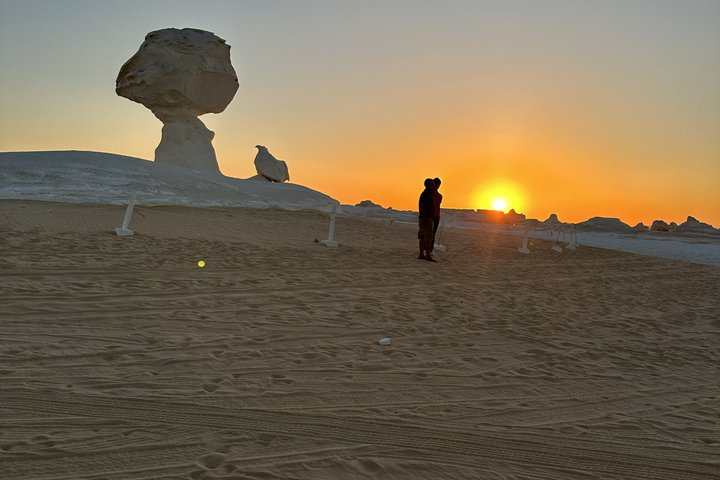 Two Day White Desert & Bahariya Oasis Camping Tour from Cairo - Photo 1 of 25