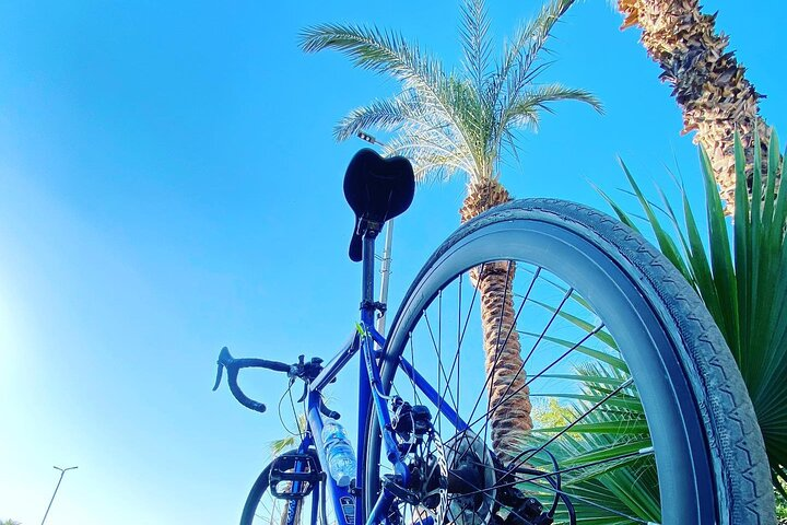 City Tour in Aswan by Bicycle  - Photo 1 of 16