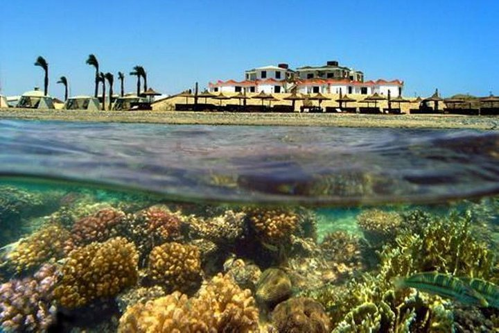 Coral Garden - Photo 1 of 5