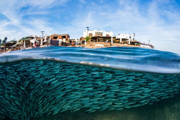 Local Food Taste and Explore Luxor Souq  - Photo 1 of 5
