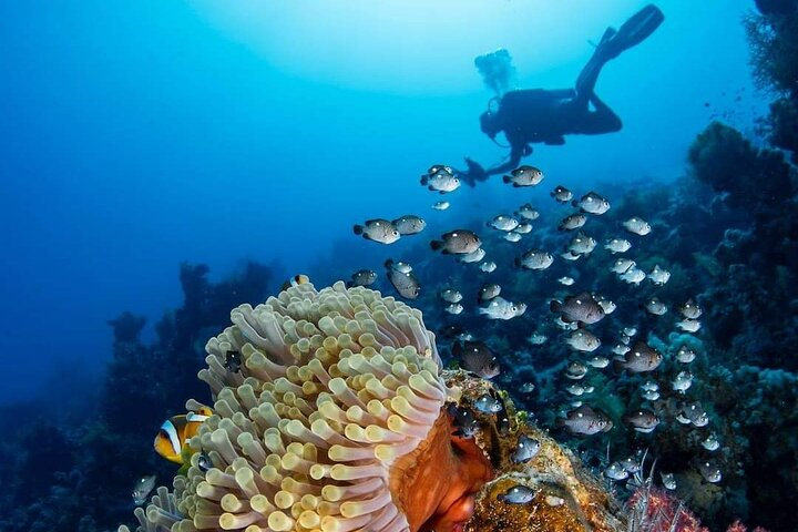  Dahab Safari & Blue Hole Snorkeling day tour from Sharm elsheikh  - Photo 1 of 9