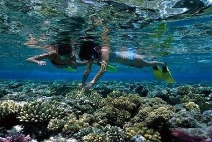 Day Diving Trip To Hamata Island From Marsa Alam - Photo 1 of 4