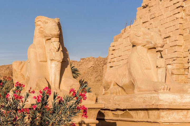 Day Tour to Luxor from Aswan by car  - Photo 1 of 11