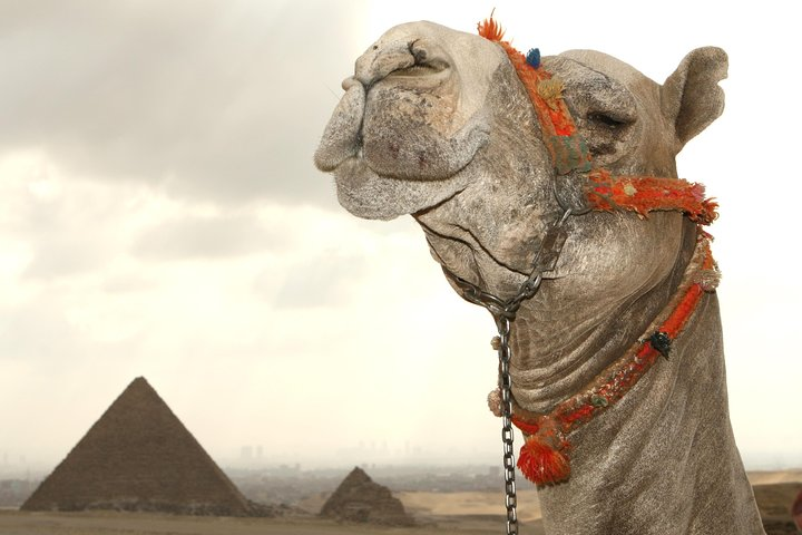 Cairo tours From Alexandria Port