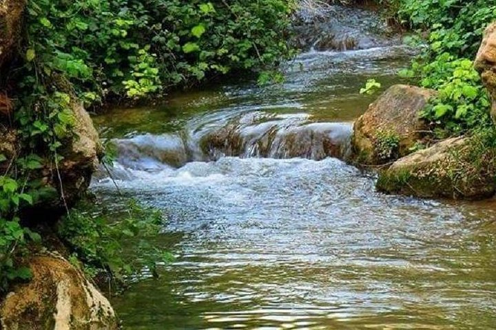 Day trip to Wadi El Rayan - Photo 1 of 2