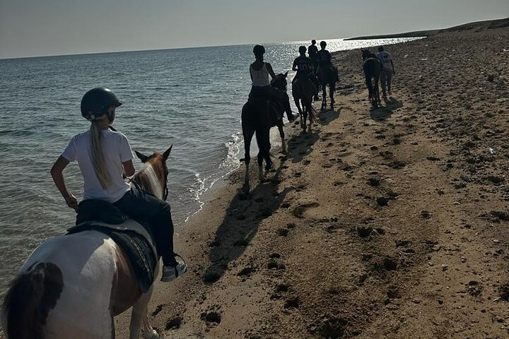 Sunrise desert and sea horseback riding with transfer Marsa Alam - Photo 1 of 6