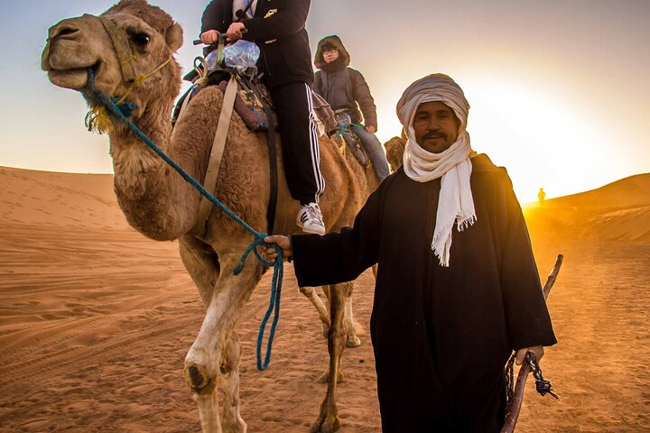 3 Hours Quad Bike Desert Safari with Camel Ride from Marsa Alam - Photo 1 of 6