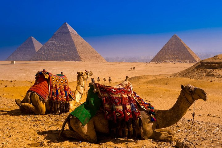 Pyramids of Giza, Camel, Egypt