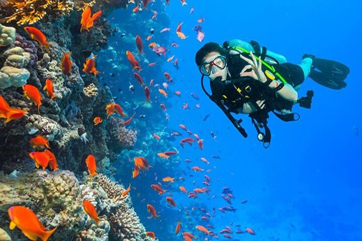 Discover Scuba Diving In Dahab - Photo 1 of 5