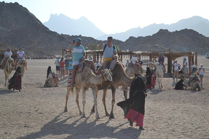 Discover the Best of Sharm : Quad, Camel, Dinner and Shows - Photo 1 of 25