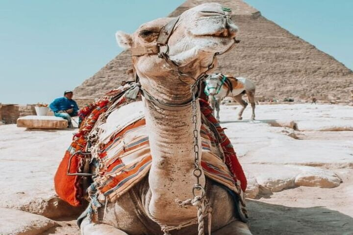 Discover the Treasures of Cairo: Small Group Tour from Hurghada - Photo 1 of 18