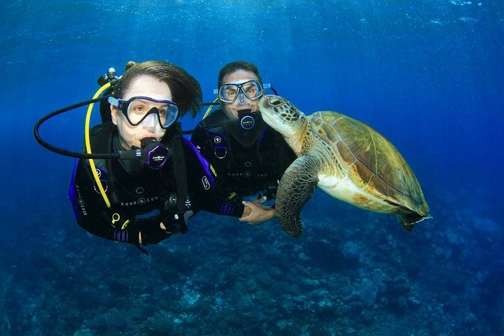 Scuba Diving in Egypt
