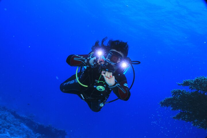 Diving in Hurghada ( 2 Dive + lunch + Drinks) beginners only