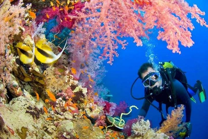 Diving Tour in Hurghada - Photo 1 of 6