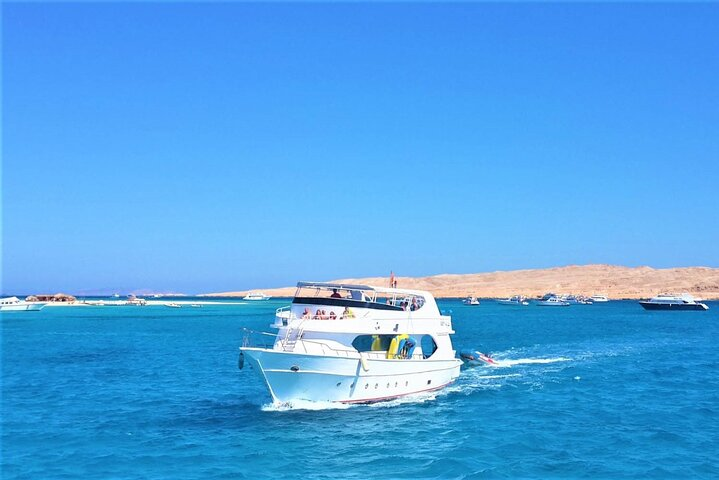 Dolphin Discovery Adventure in Hurghada - Photo 1 of 12