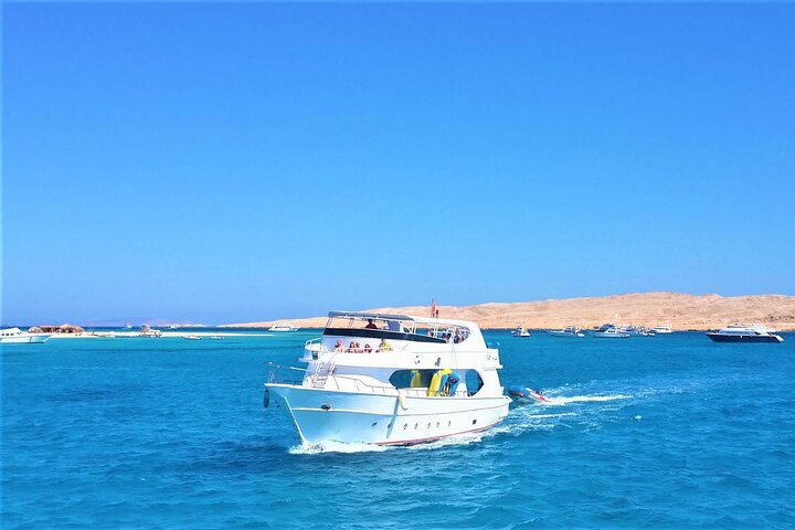 Dolphin House: Swim with Dolphins in Hurghada  - Photo 1 of 7