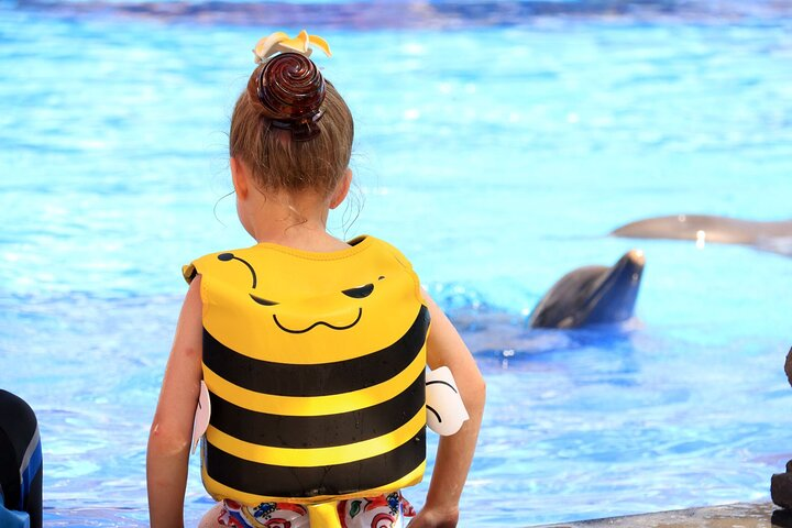 Dolphin Show & Photoshoot Package with Transfer from Hurghada - Photo 1 of 6