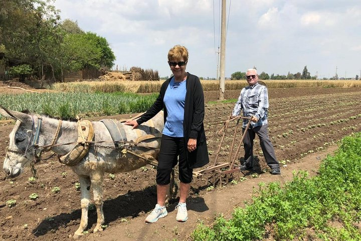 The lovely countryside