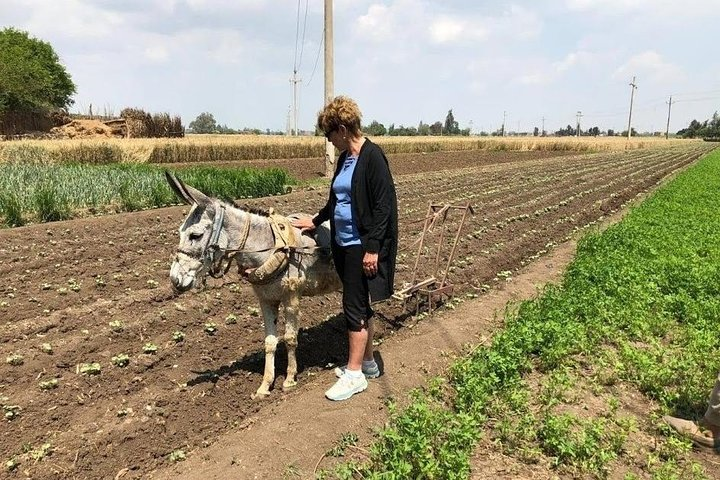 Egypt Day tour in countryside - Photo 1 of 4
