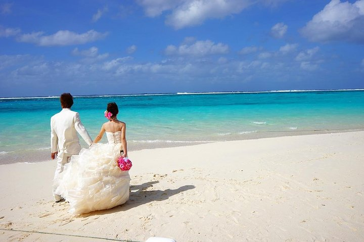 Egypt 8 days 7 nights Honeymoon package