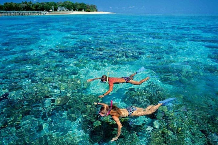 El Gouna Red Sea Snorkeling Trip - Photo 1 of 2