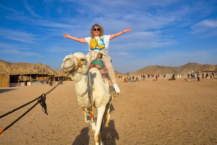 Enjoy with 1 - Hour Camel Ride with Transportation in Hurghada - Photo 1 of 13
