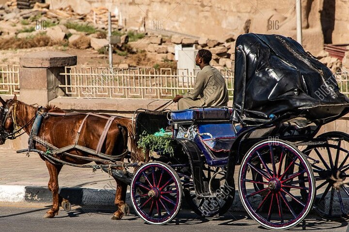 Explore Aswan City with a Horse Carriage Private Tour - Photo 1 of 6
