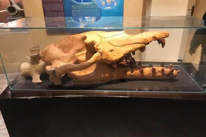 Fayoum ~ Different ~ day trip;Solo ;Family; Group - Photo 1 of 3