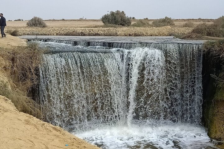 Fayoum Oasis:4x4 Safari,Wadi of the Whales,waterfalls,Sandsurfing - Photo 1 of 22
