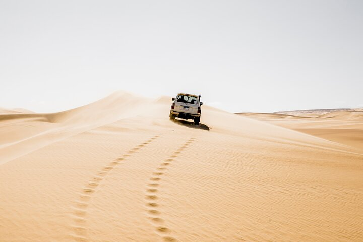 From Cairo: Desert Safari, Waterfalls, Sand boarding and Camel ride with Lunch - Photo 1 of 15