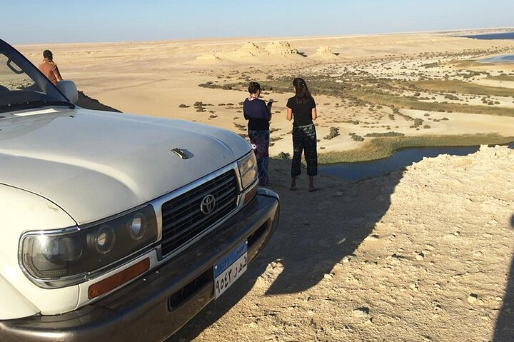 From Cairo - EL-Fayoum Full Day Tour Bird Watching  - Photo 1 of 8