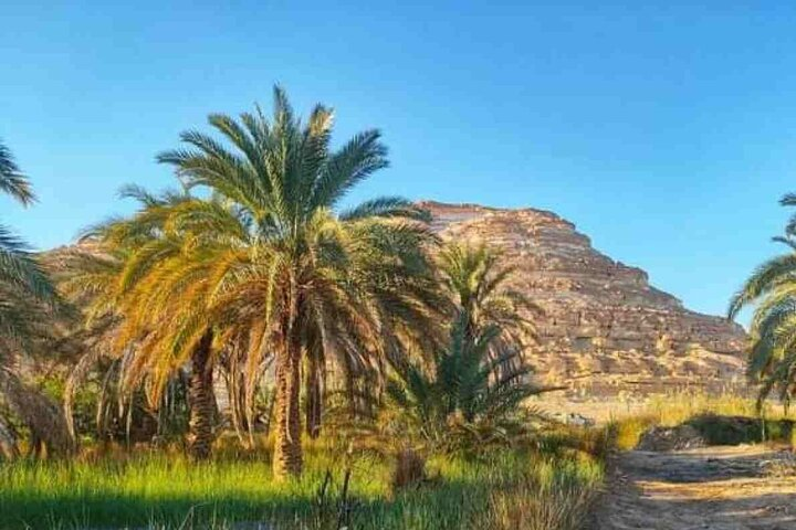 from Cairo to siwa 2 days one night - Photo 1 of 9
