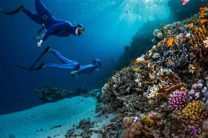 Full day Hamata island snorkelling experience in Marsa Alam - Photo 1 of 9