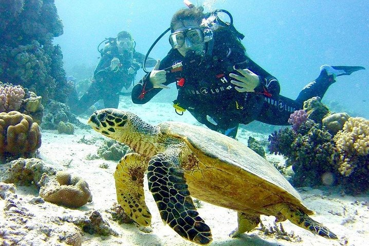 Underwater Discovery for Beginners - Full Day Diving with Lunch - Photo 1 of 10