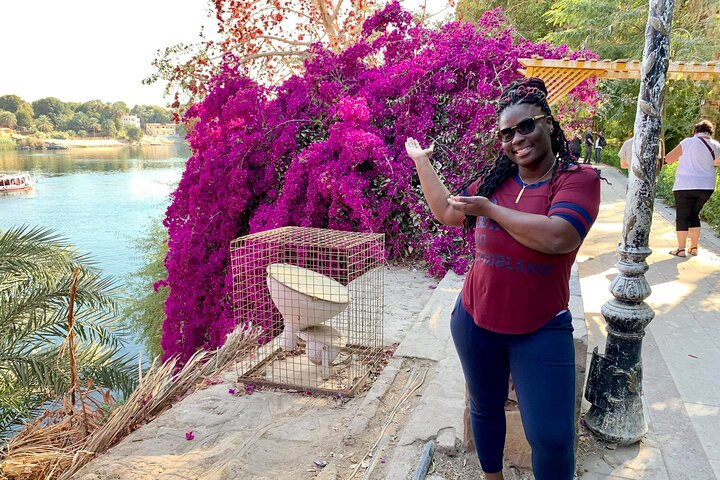 Full-Day Private Guided Tour in Aswan  - Photo 1 of 12