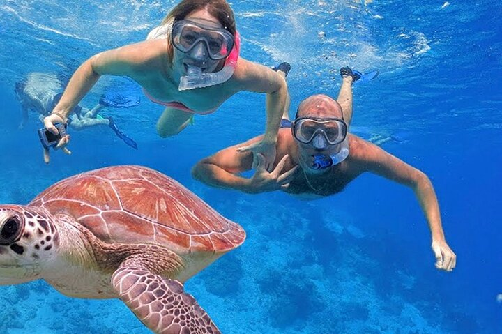 Full Day Private Tour Swim with Turtles and Dugong in Marsa Alam - Photo 1 of 10