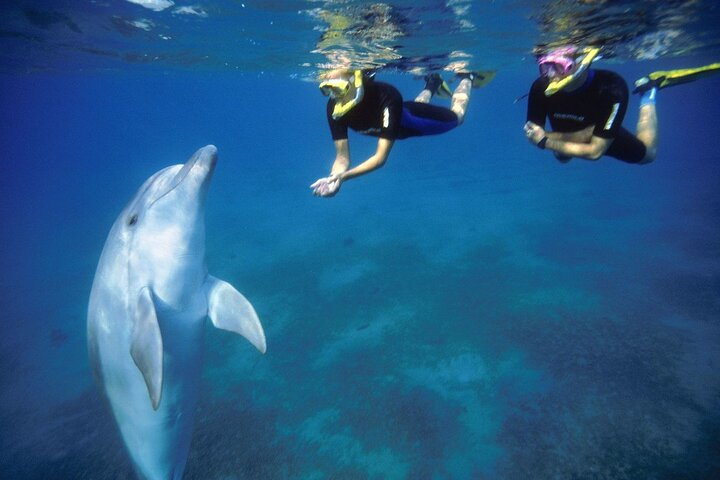 Full Day Snorkeling and Dolphin Watching in Hurghada - Photo 1 of 6